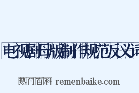 电视剧母版制作规范反义词是什么意思的图片